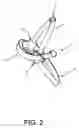 Fig. 04 - Side lead animal harness