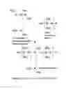Fig. 22 - ANTIMICROBIAL POLYMERIC COMPOSITIONS
