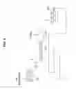 Fig. 09 - AMORPHOUS PROTEIN EXTRUDATES