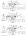 Fig. 02 - Article of footwear with an adaptive fluid system