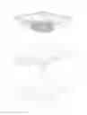 Fig. 02 - Regimen mattress