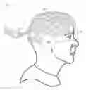 Fig. 01 - Methods and systems for decoding, inducing, and training peak mind/body states via multi-modal technologies