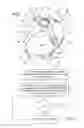 Fig. 04 - Device for Acquiring Brain Activity Signals