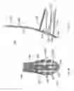 Fig. 10 - Distal tibial plating system