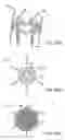 Fig. 83 - Systems and methods for treating a carotid artery