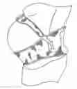 Fig. 01 - Methods and devices for reducing pregnancy-related and post-natal lower back pain