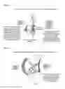 Fig. 49 - Methods and devices for reducing pregnancy-related and post-natal lower back pain