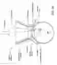 Fig. 04 - Bi-radial patient interface