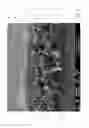 Fig. 02 - ABSORBENT ARTICLE WITH A FOAM AND FIBER COMPOSITE