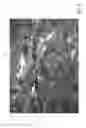 Fig. 07 - ABSORBENT ARTICLE WITH A FOAM AND FIBER COMPOSITE