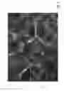 Fig. 08 - ABSORBENT ARTICLE WITH A FOAM AND FIBER COMPOSITE
