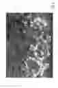 Fig. 09 - ABSORBENT ARTICLE WITH A FOAM AND FIBER COMPOSITE