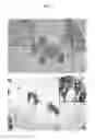 Fig. 10 - Method of treating and preventing loss of cognition