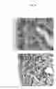 Fig. 11 - Method of treating and preventing loss of cognition