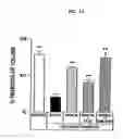 Fig. 16 - Method of treating and preventing loss of cognition