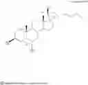 Fig. 22 - Oxysterol-statin compounds for bone growth