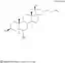 Fig. 28 - Oxysterol-statin compounds for bone growth
