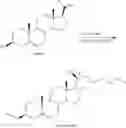 Fig. 40 - Oxysterol-statin compounds for bone growth