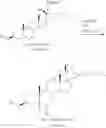 Fig. 44 - Oxysterol-statin compounds for bone growth