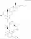 Fig. 55 - Oxysterol-statin compounds for bone growth