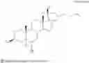 Fig. 72 - Oxysterol-statin compounds for bone growth