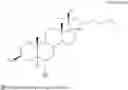 Fig. 77 - Oxysterol-statin compounds for bone growth