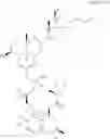 Fig. 80 - Oxysterol-statin compounds for bone growth
