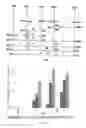 Fig. 02 - PHARMACEUTICAL COMPOSITION AND METHOD OF TREATING FEMALE SEXUAL DYSFUNCTIONS