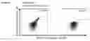 Fig. 35 - Peptides and combination of peptides for use in immunotherapy against various cancers
