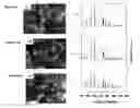 Fig. 07 - Method for making LaCO3OH nanoparticles from aqueous salt solutions