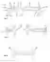 Fig. 02 - Adjusting screw