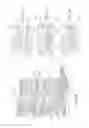 Fig. 49 - COLLAPSIBLE CONTAINER