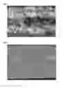 Fig. 03 - Method for preparing graphite sheet