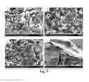 Fig. 02 - Magnesium alkoxide particle and application thereof