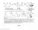 Fig. 07 - Methods and compositions for terpenoid synthesis