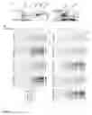 Fig. 06 - Activity-based probe compounds, compositions, and methods of use