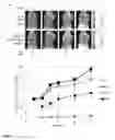 Fig. 07 - Activity-based probe compounds, compositions, and methods of use