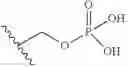 Fig. 10 - Soluble C5aR antagonists