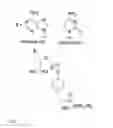 Fig. 02 - Broad spectrum antiviral compounds