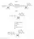 Fig. 02 - Compositions and methods for synthesizing 5′-Capped RNAS