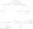 Fig. 02 - Process for the synthesis of amide bonds with the aid of novel catalysts
