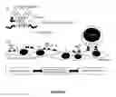 Fig. 06 - Re-directed immunotherapy