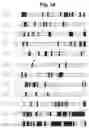 Fig. 02 - Broad spectrum insecticidal polypeptide against lepidopteran pests and methods of use thereof