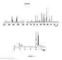 Fig. 60 - Process for preparing conjugated diene (co)polymers in the presence of a catalytic system comprising a pyridyl iron (III) complex