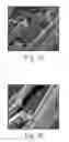 Fig. 04 - HOMOGENEOUS AMORPHOUS HIGH HEAT EPOXY BLEND COMPOSITE COMPOSITIONS, ARTICLES, AND USES THEREOF