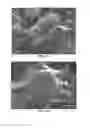 Fig. 04 - Copolymer, a method of synthesizing thereof, and a method for producing hydrogen gas