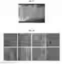 Fig. 08 - Method of manufacturing nanostructure with improved cell adhesive ability containing fucoidan and nanostructure with improved cell adhesive ability containing fucoidan manufactured thereby