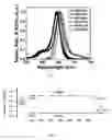 Fig. 02 - Squaraine dyes and applications thereof