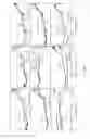 Fig. 32 - Surface modified layered double hydroxide