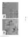 Fig. 44 - Surface modified layered double hydroxide